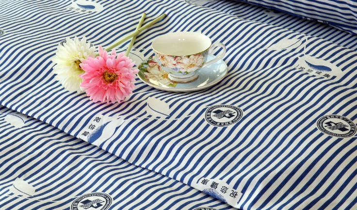 Blue Ridge Mountains