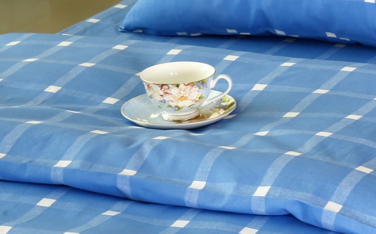 Blue Ridge Mountains