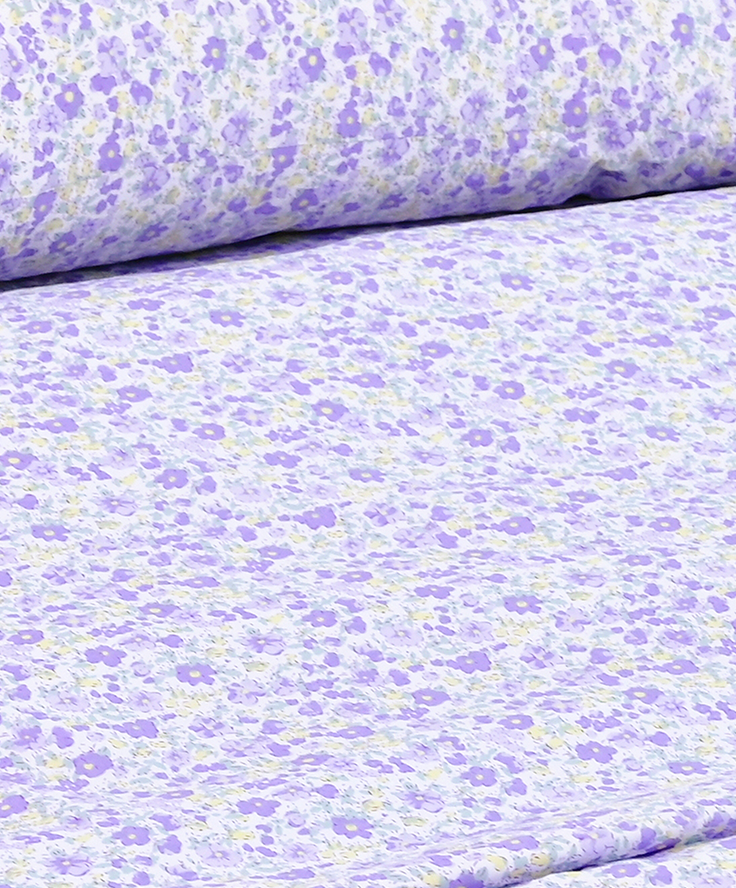 Blue Ridge Mountains